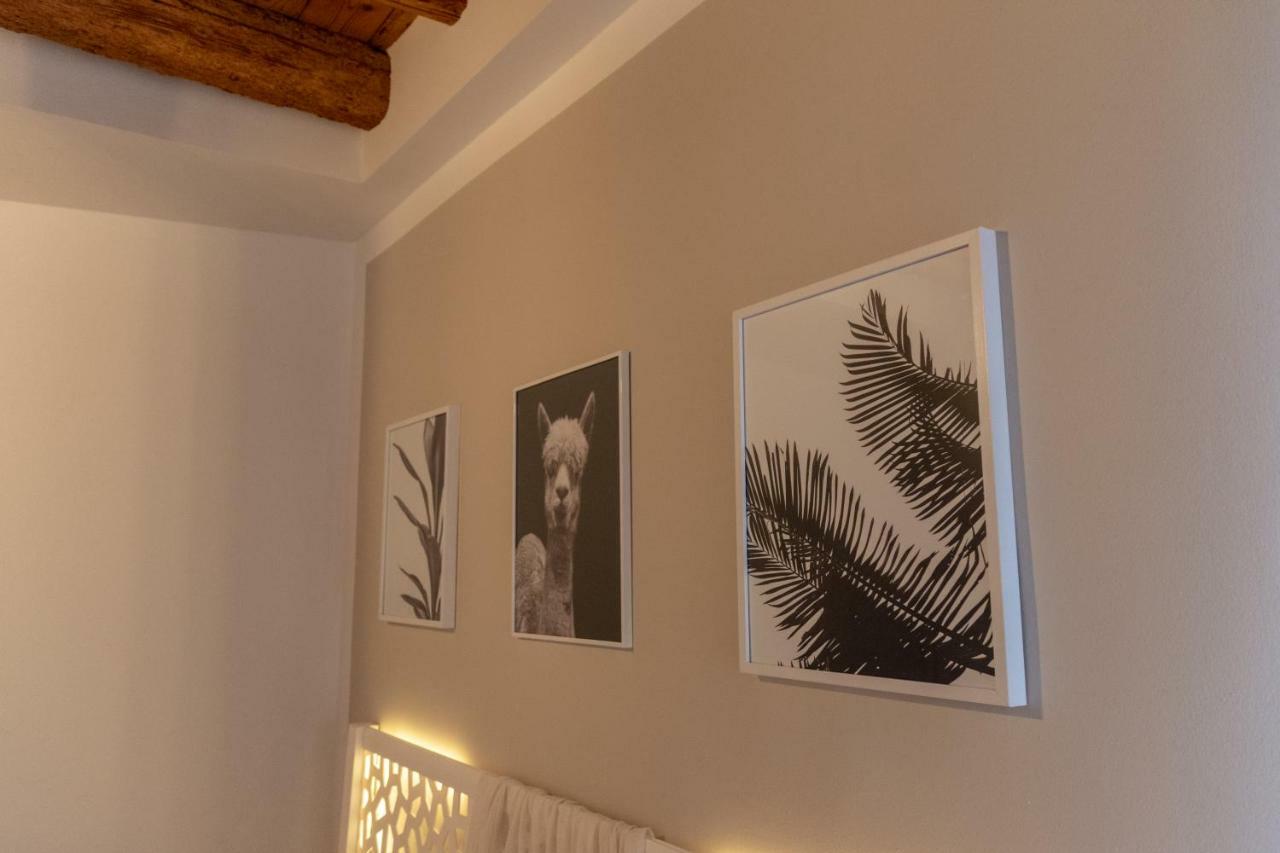 La Casa Di Bassano Apartment Басано дел Грапа Екстериор снимка